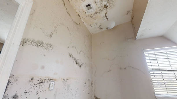 Best Indoor Air Quality Assessment  in Tulare, CA