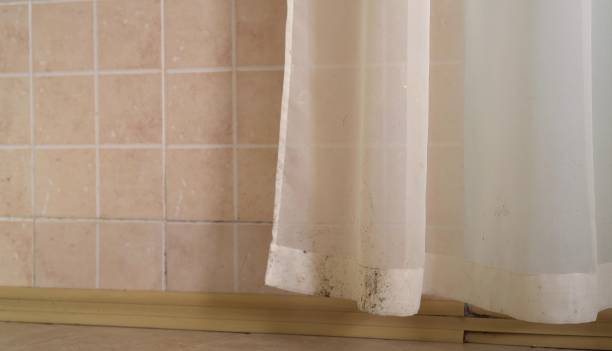 Best Emergency Mold Remediation  in Tulare, CA