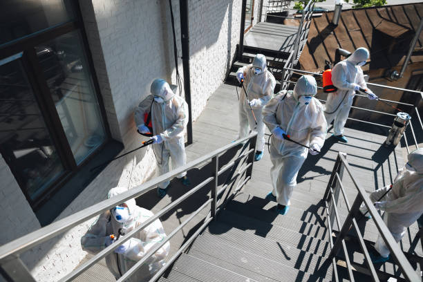 Best Black Mold Removal  in Tulare, CA