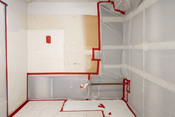Best Black Mold Removal  in Tulare, CA