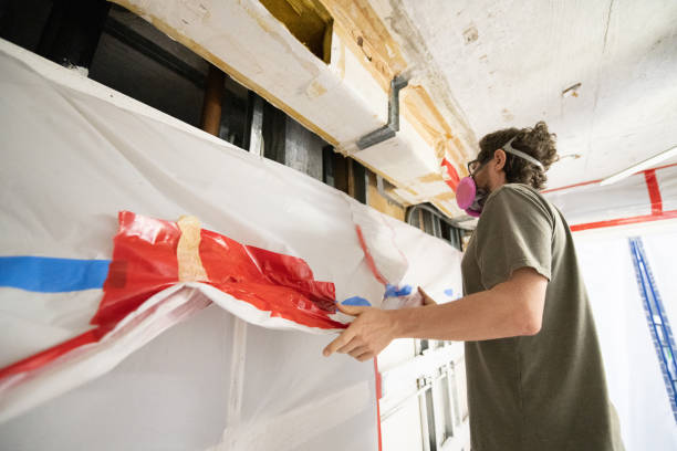 Trusted Tulare, CA Mold Removal Experts