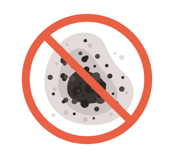 Best Mold Damage Restoration  in Tulare, CA