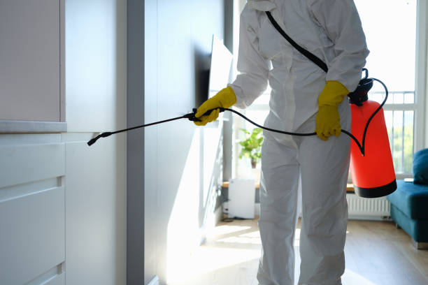 Best Commercial Mold Inspection  in Tulare, CA