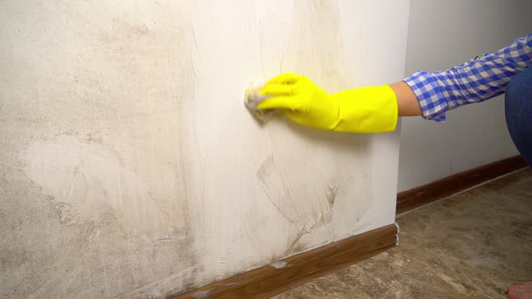 Best Airborne Mold Testing  in Tulare, CA