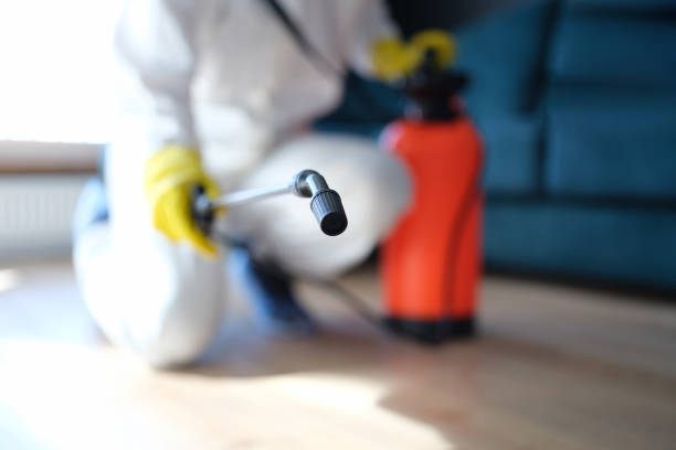 Best Post-Remediation Verification Testing  in Tulare, CA