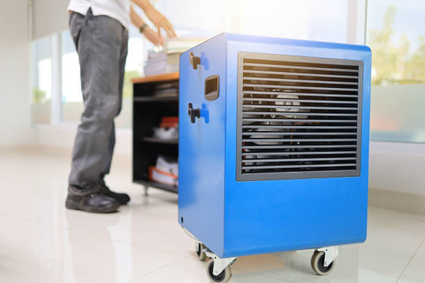 Best Basement Mold Removal  in Tulare, CA