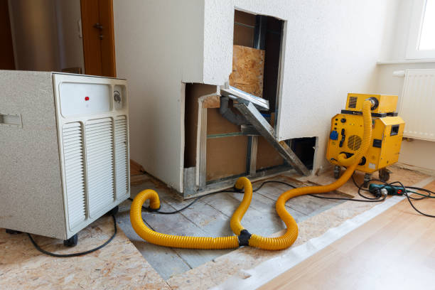 Biohazard Mold Removal in Tulare, CA