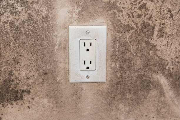 Asbestos and Lead Testing During Mold Inspection in Tulare, CA