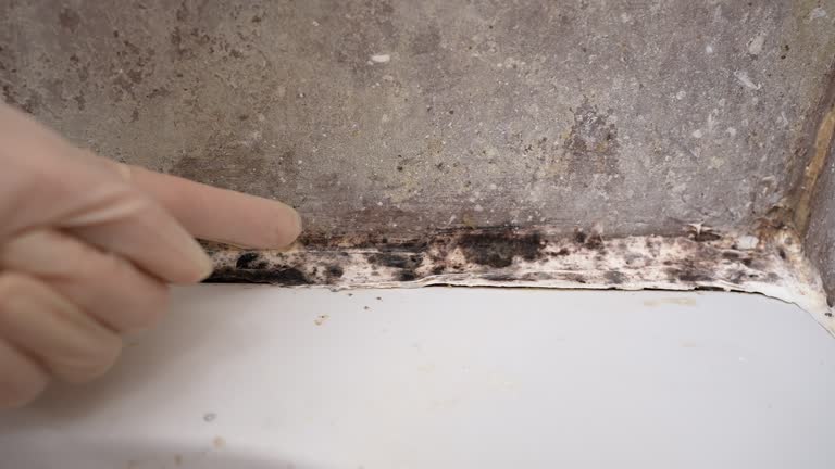 Best Asbestos and Lead Testing During Mold Inspection  in Tulare, CA
